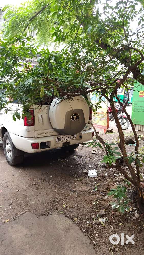 Tata Safari Dicor 2012 Manual