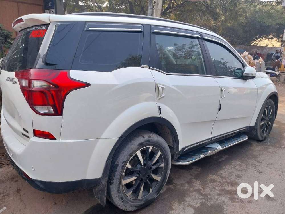 Suv Lovers Attention