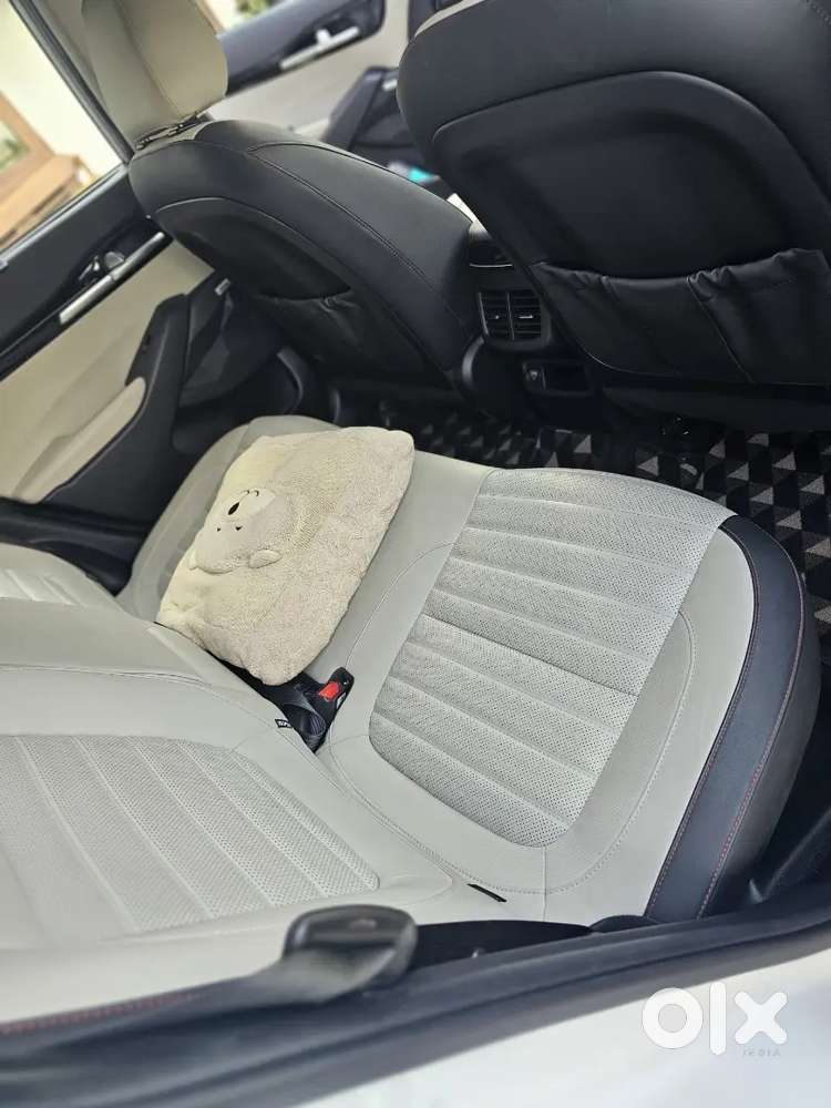 Kia Seltos 2019 Petrol Well Maintained