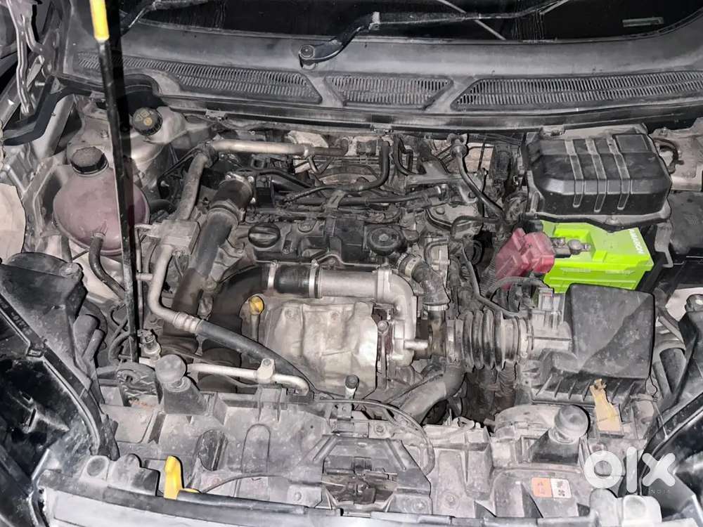 Ecosports In Well Defined Condition