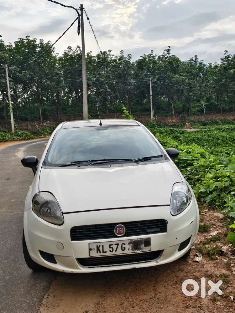 Fiat Punto Active 2013