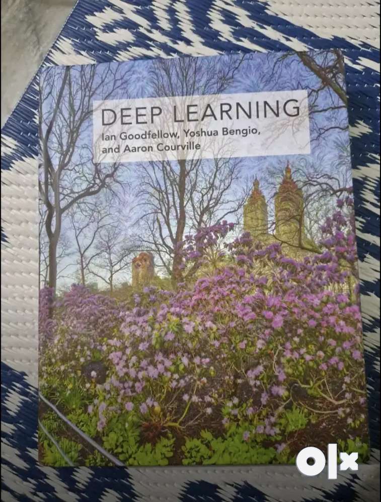 Deep learning ian store goodfellow