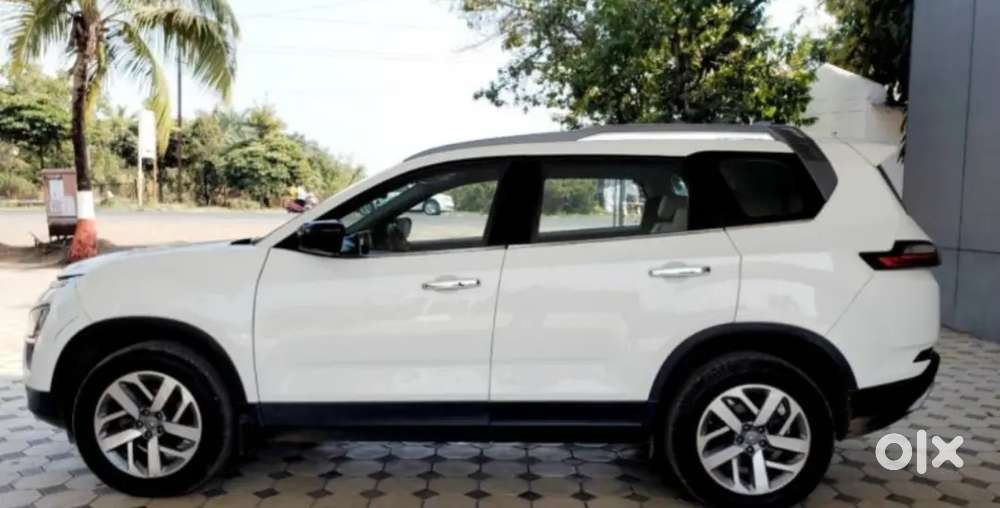 Excellent Condition Safari