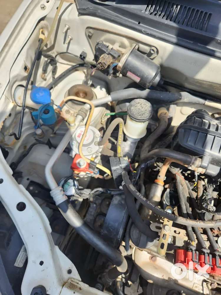 Maruti Suzuki Alto 800 2018 Cng & Hybrids 76377 Km Driven