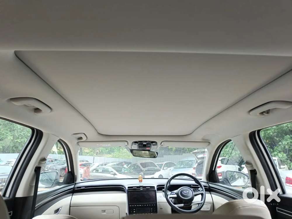 Hyundai Tucson 2.0 Platinum Petrol At, 2024, Petrol