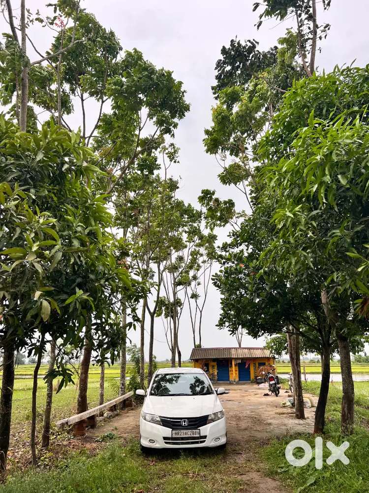 Honda City 2012 Hybrid