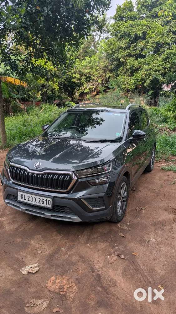 Skoda Kushaq Style 2024