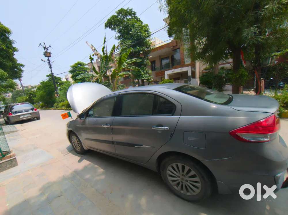 Maruti Suzuki Ciaz Hybrid 2020