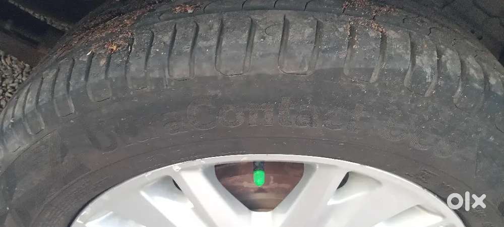 Show Room Track Original Paint