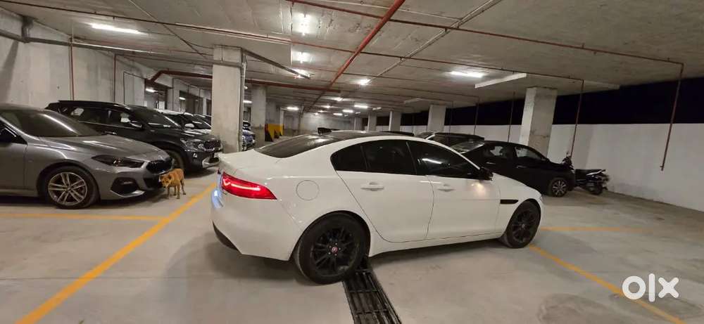 Jaguar Xe 2019 Portfolio Diesel Well Maintained