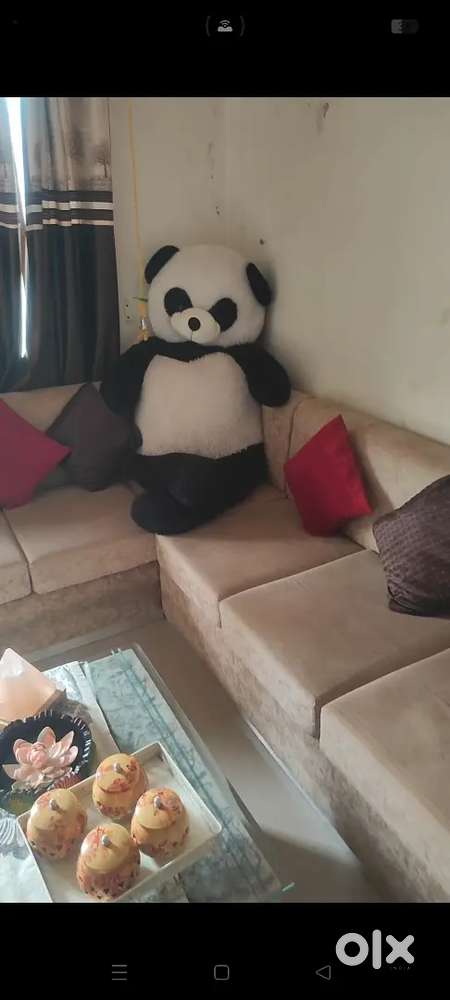 Panda teddy