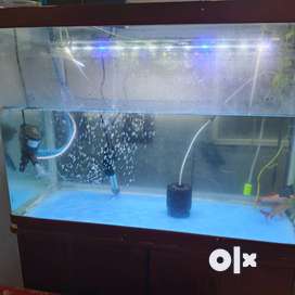 Olx aquarium best sale