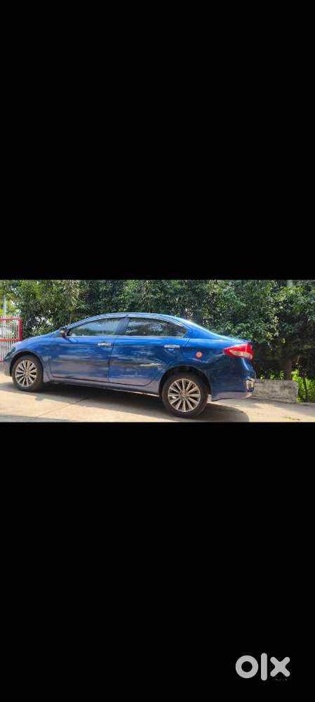 Maruti Suzuki Ciaz Zdi Alpha, 2019, Diesel