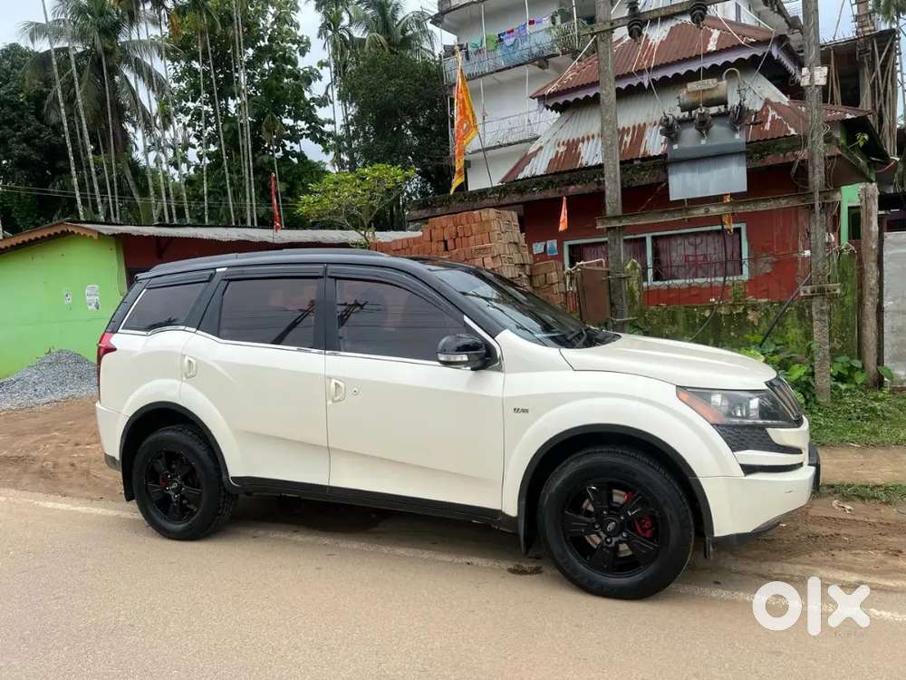 Xuv 500 White Coler