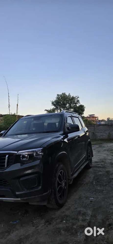 Scorpio N  Z6