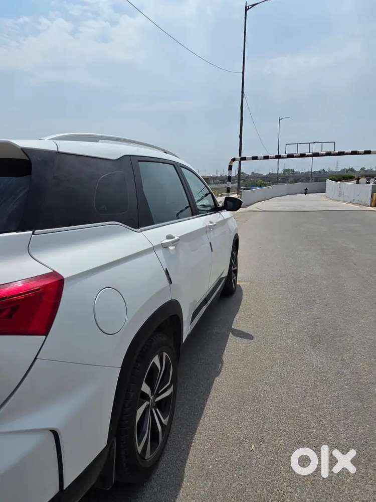 Mg Hector Plus Savvy Pro 7str