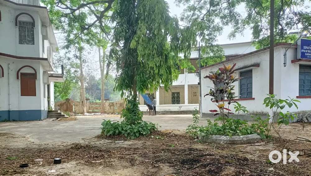 Urgent sale East shivnagar 2 gonda jaga bikri hobe building soho ...
