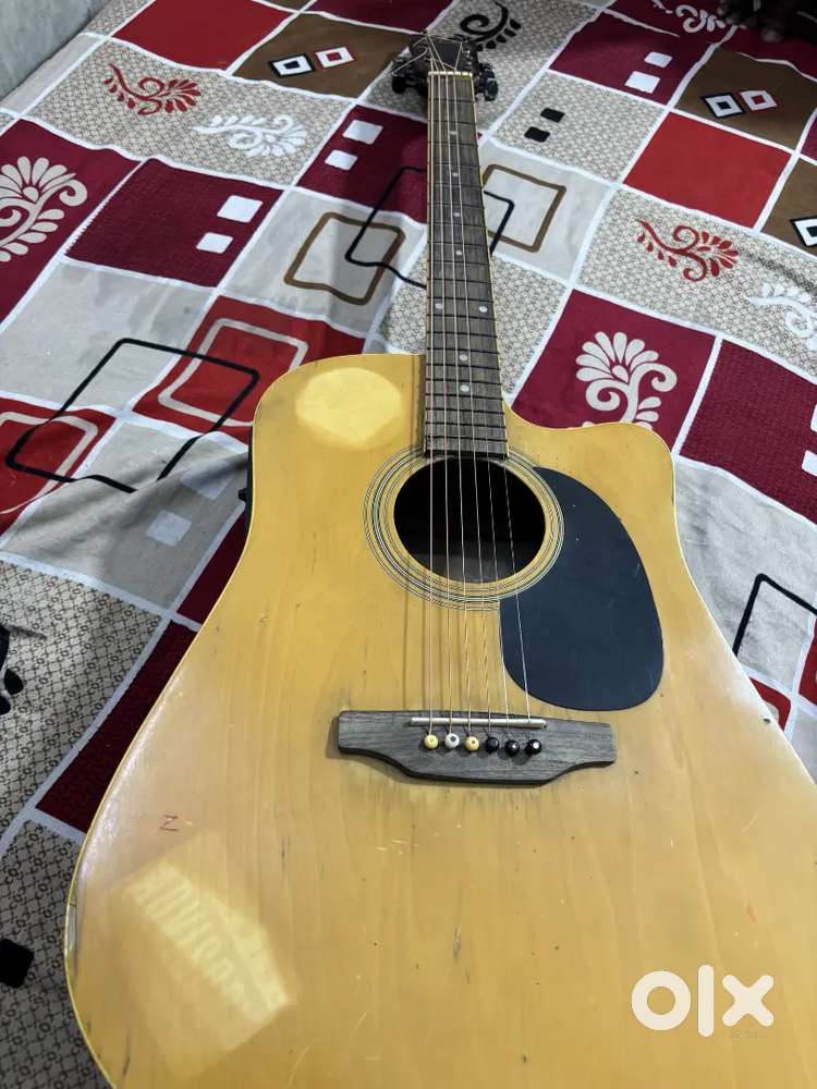 Pluto MDC acoustic guitar - Musical Instruments in Raghubir Nagar ...