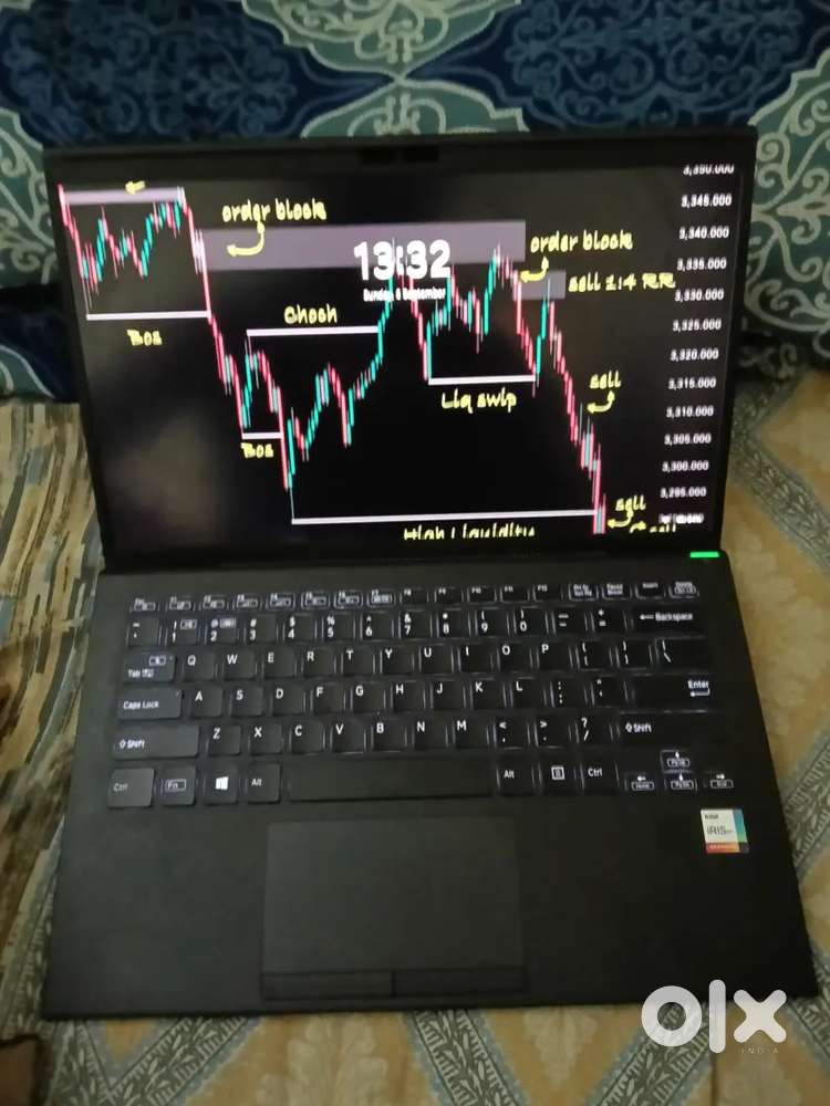 Windows 11