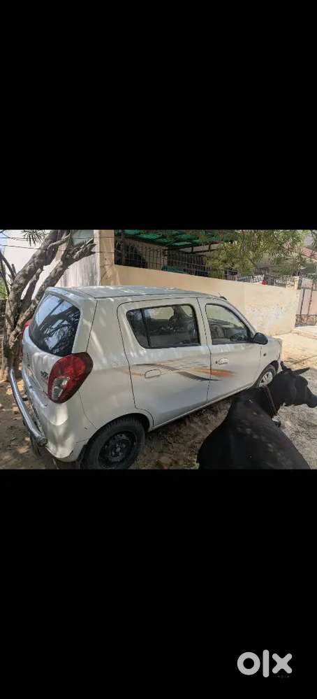 Maruti Suzuki Alto 800 2015 Petrol 17000 Km Driven