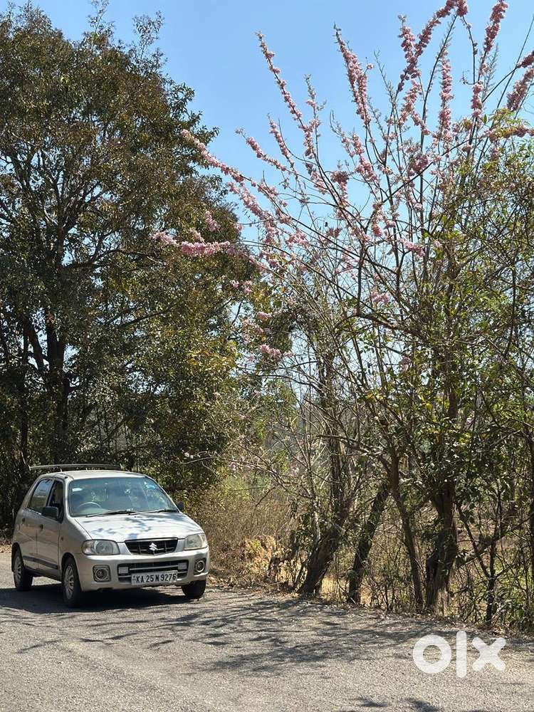 Maruti Suzuki Alto 2008 Petrol Well Maintained
