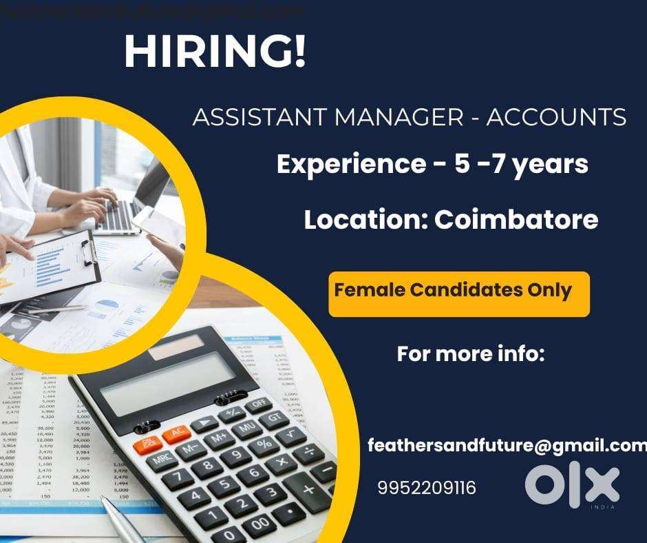 ASSISTANT MANAGER - ACCOUNTS - Accountant - 1826432842