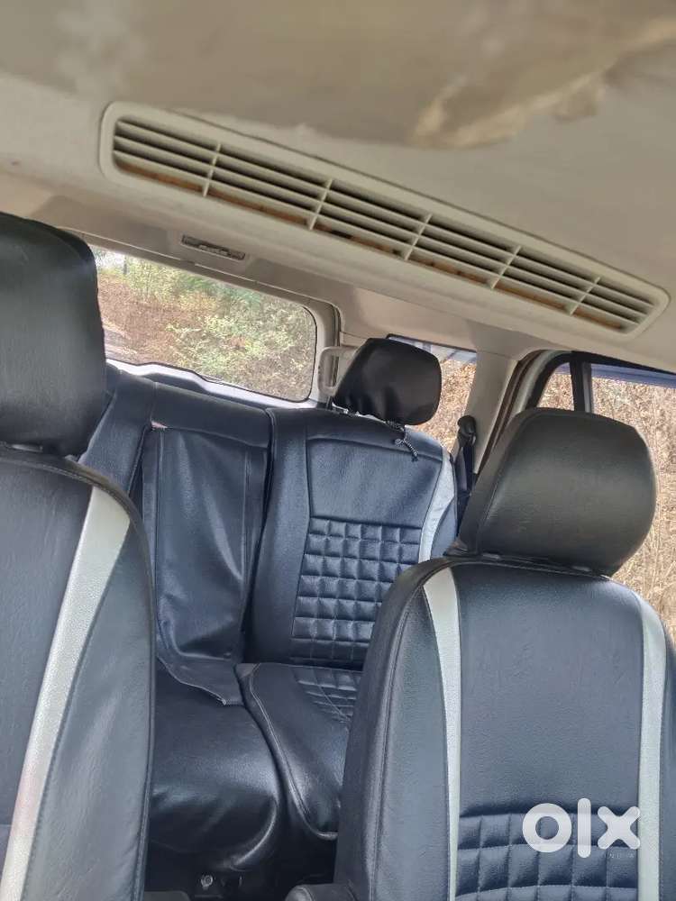 Safari Storme Top Model