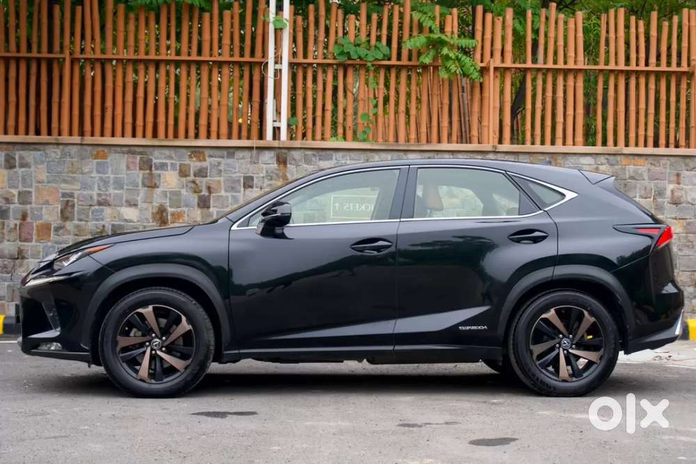 Lexus Nx, 2018, Petrol