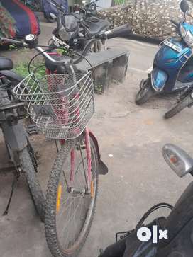 Olx best sale ladybird cycle