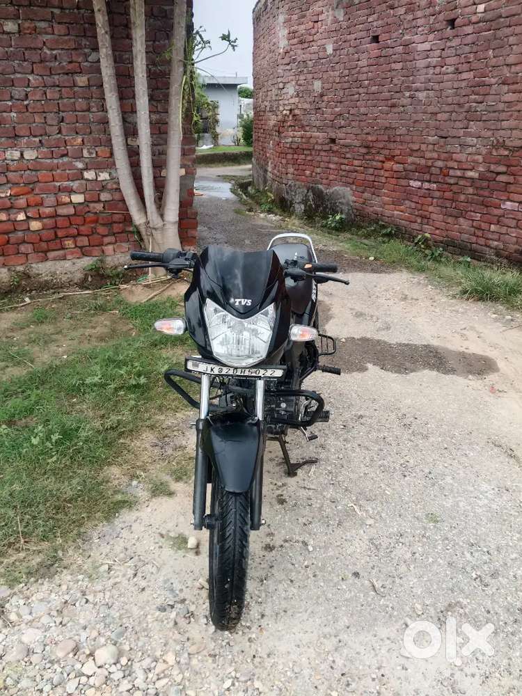 TVS Star Sport 2024 - Motorcycles in Chak Habib, Gho Manhasan - 1859086475
