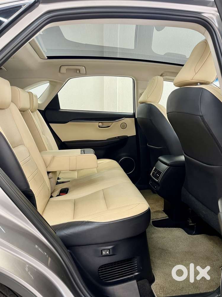 Lexus Nx Lexus-nx-300h-luxury, 2019, Petrol