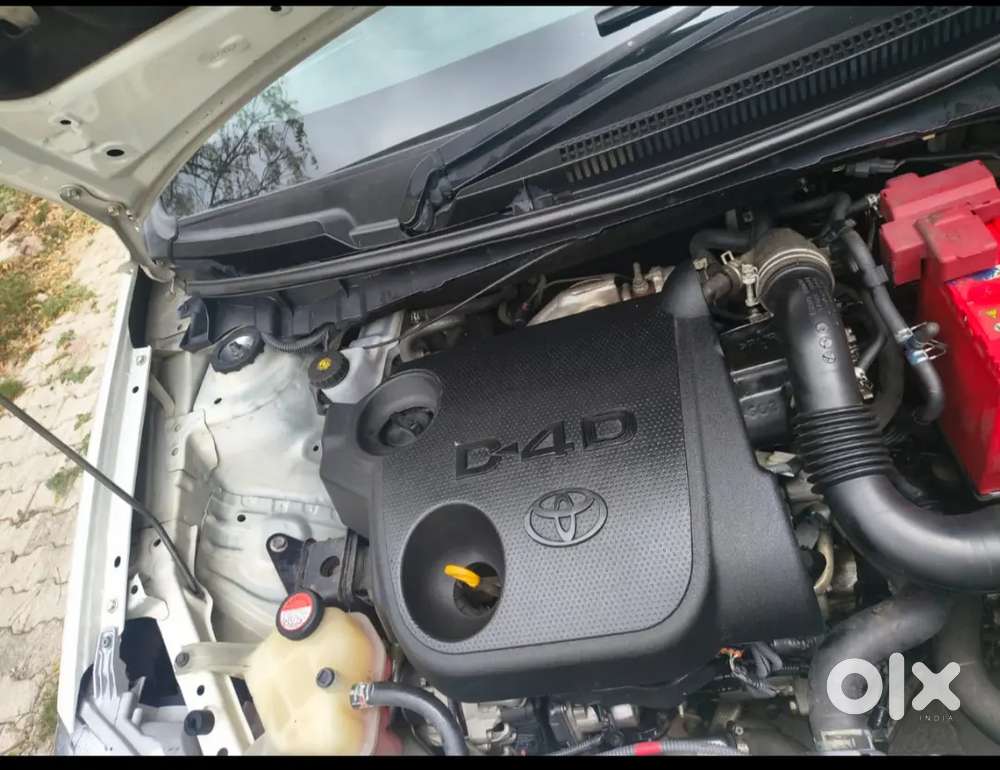 All Services Company Record. Globe Models