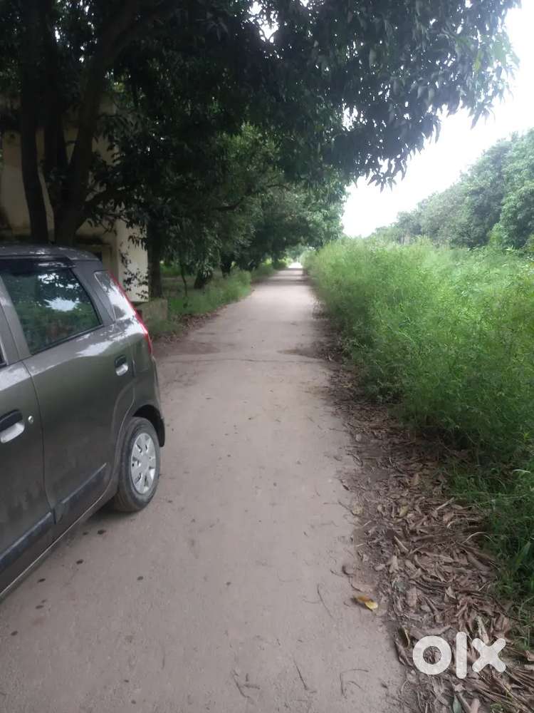 Maruti Suzuki Wagon R 2021