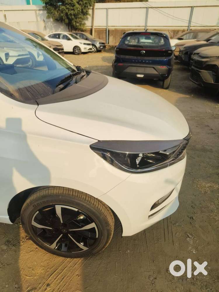 New 4 Months Old Tiago Want To Sell