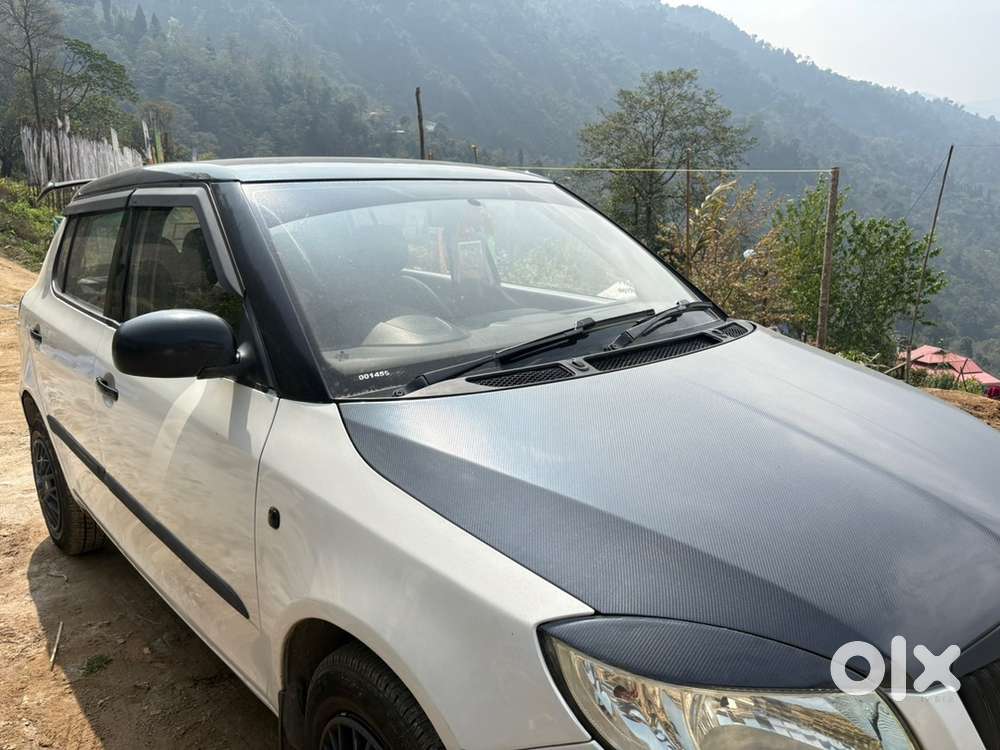 Skoda Fabia 2010 Petrol Well Maintained