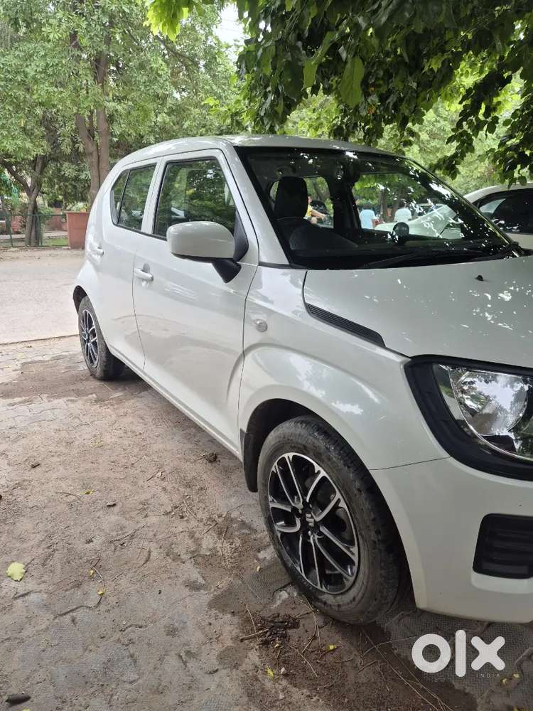 Maruti Suzuki Ignis Sigma 2024 Car