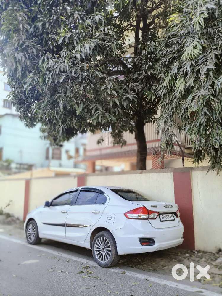 Maruti Suzuki Ciaz Petrol Good Condition