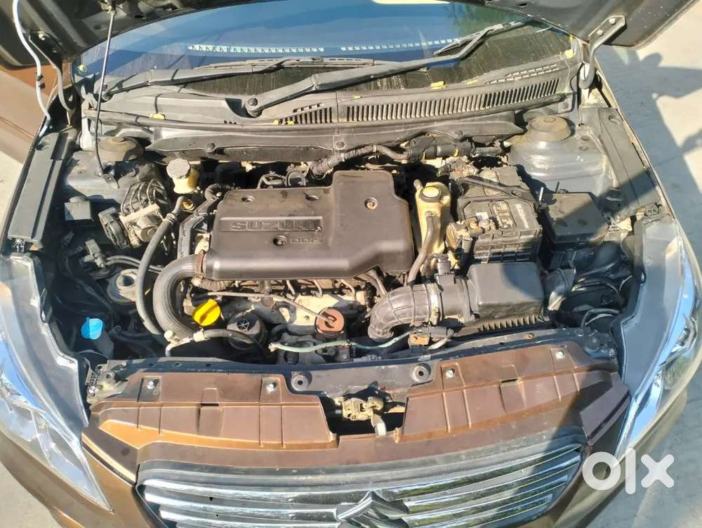 Maruti Suzuki Ciaz 2017 Diesel Good Condition