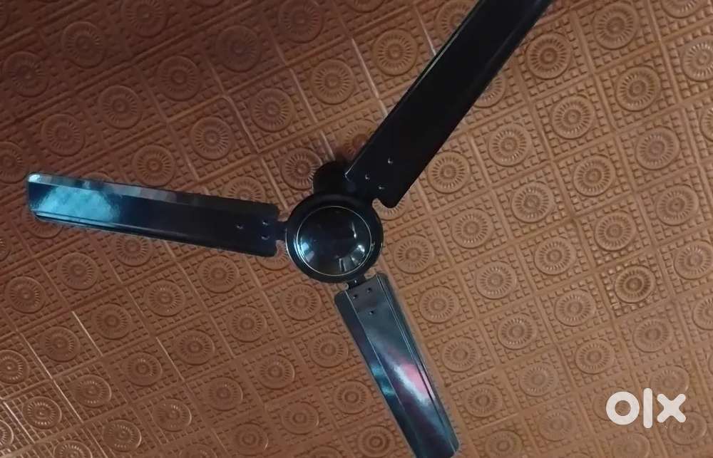 ceiling fan glossy black