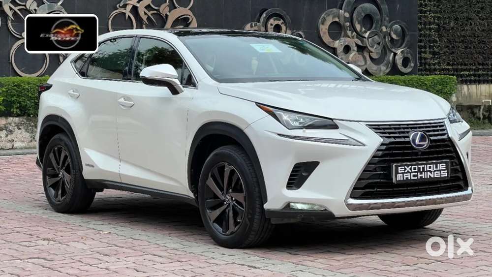 Lexus Nx, 2020, Petrol