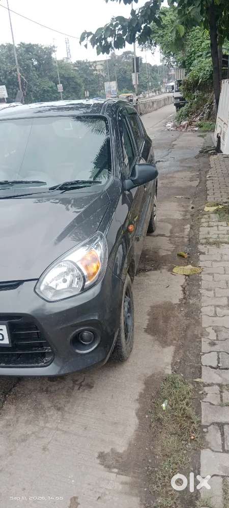 Maruti Suzuki Alto 800 2015