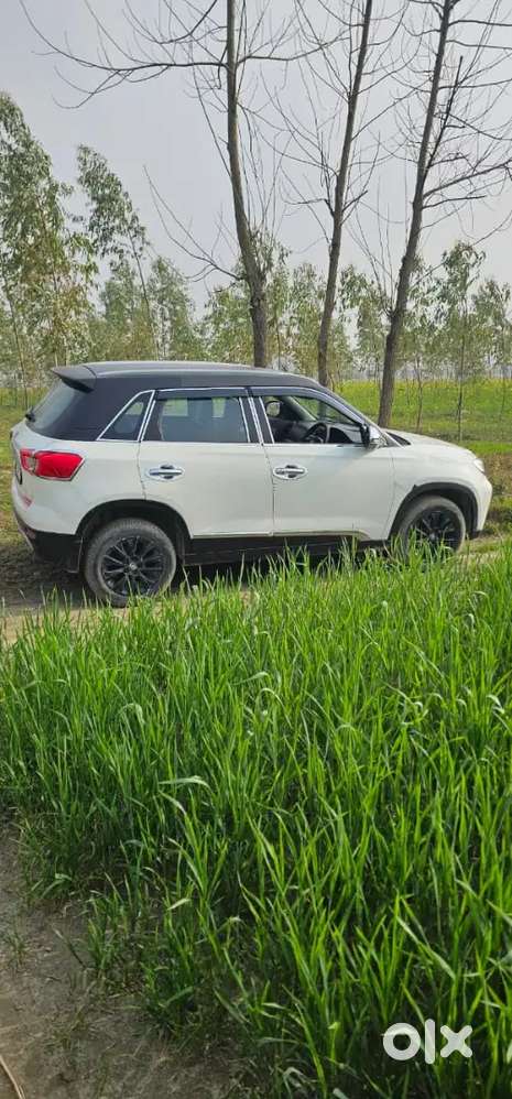 Toyota Urban Cruiser 2022