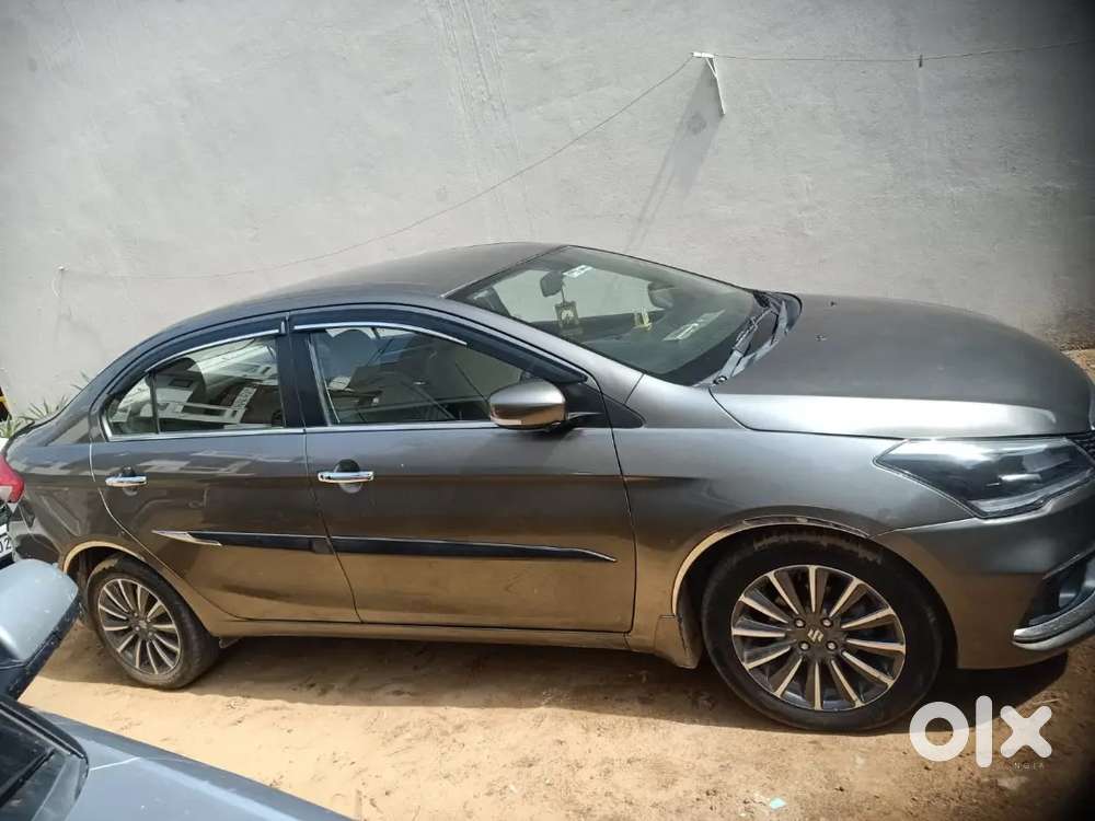 Maruti Suzuki Ciaz Alpha Petrol 2019  33,000 Km  Excellent Condition