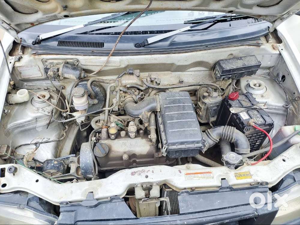 Alto 800 For Sale
