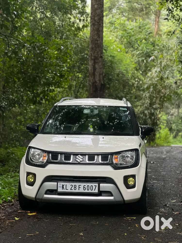 Maruti Suzuki Ignis 2024 Petrol Well Maintained
