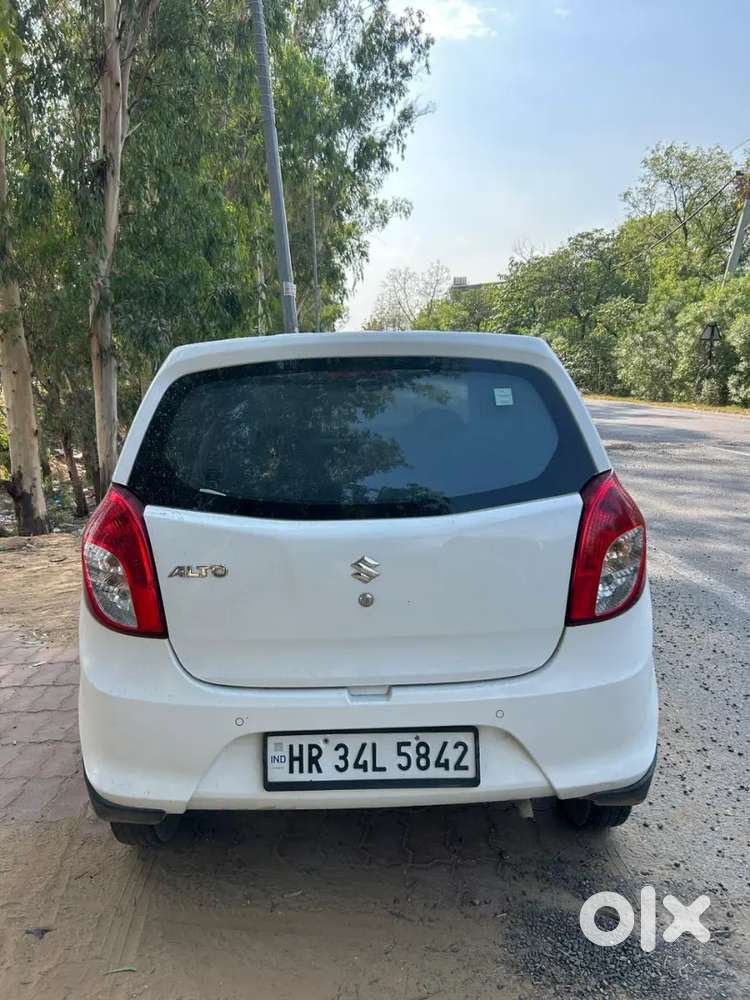 2021 Moudel Alto800vxi +