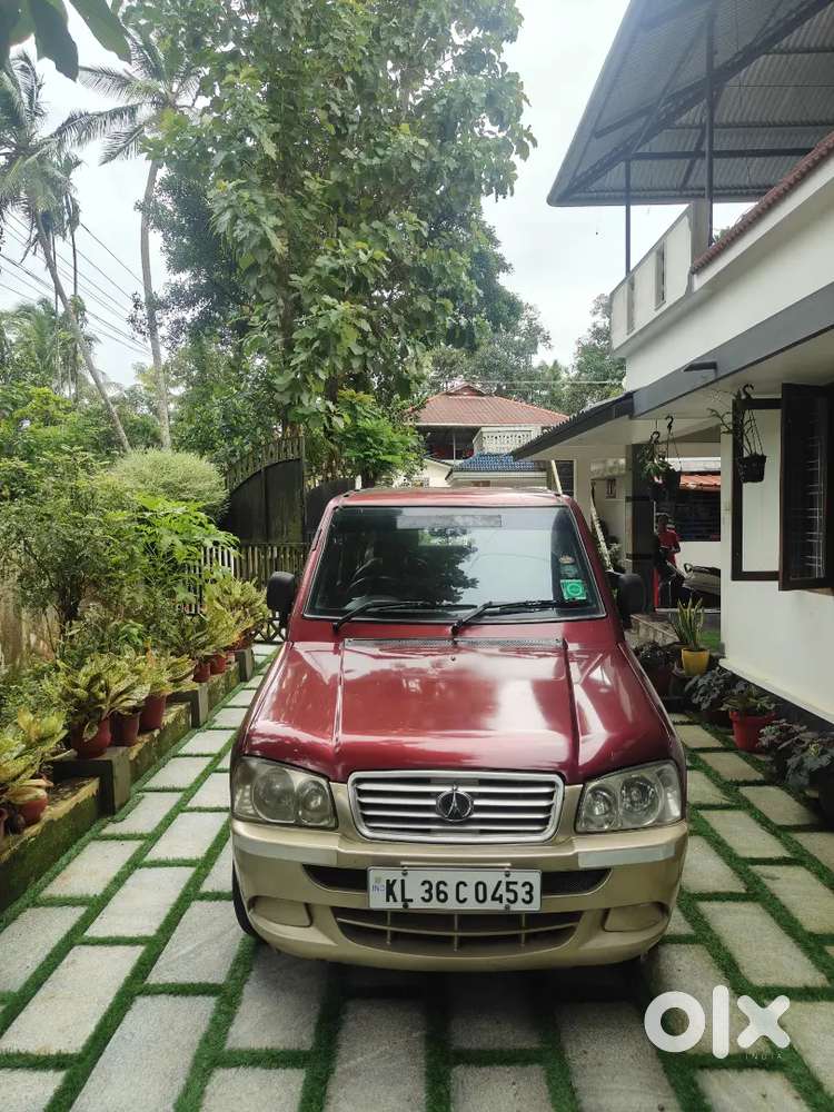 Sonalika (rhino)