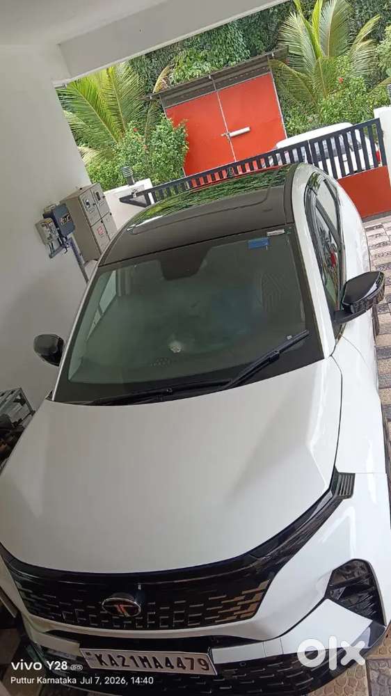 Tata Curvv 2025 Petrol Well Maintained