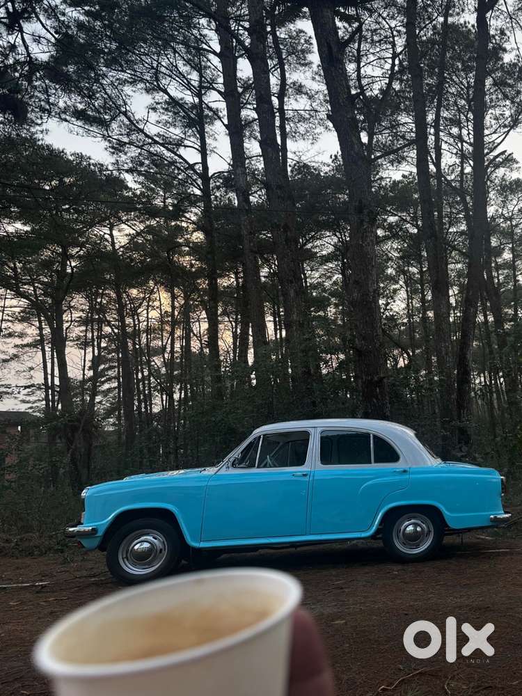 Ambassador Ambassador