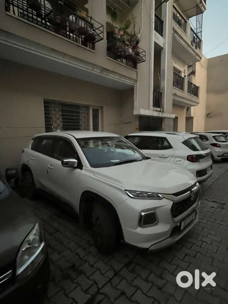 Maruti Suzuki Grand Vitara 2023 Petrol Well Maintained